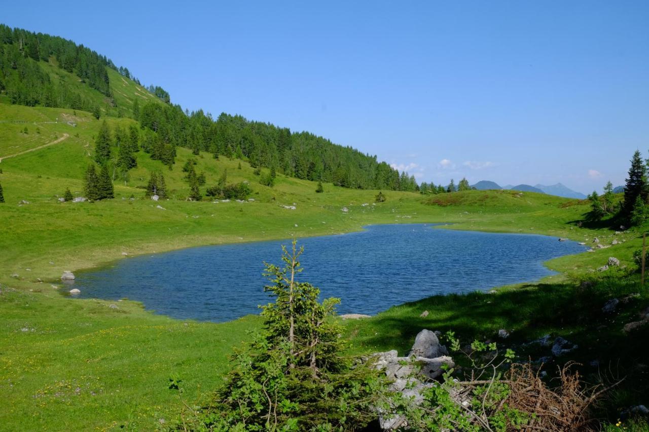 Hotel Casa Della Rosa Dolomites Experience Vigo di Cadore Zewnętrze zdjęcie